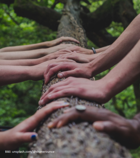 Juleica-Ausbildung: ein Team hält einen Baumstamm fest